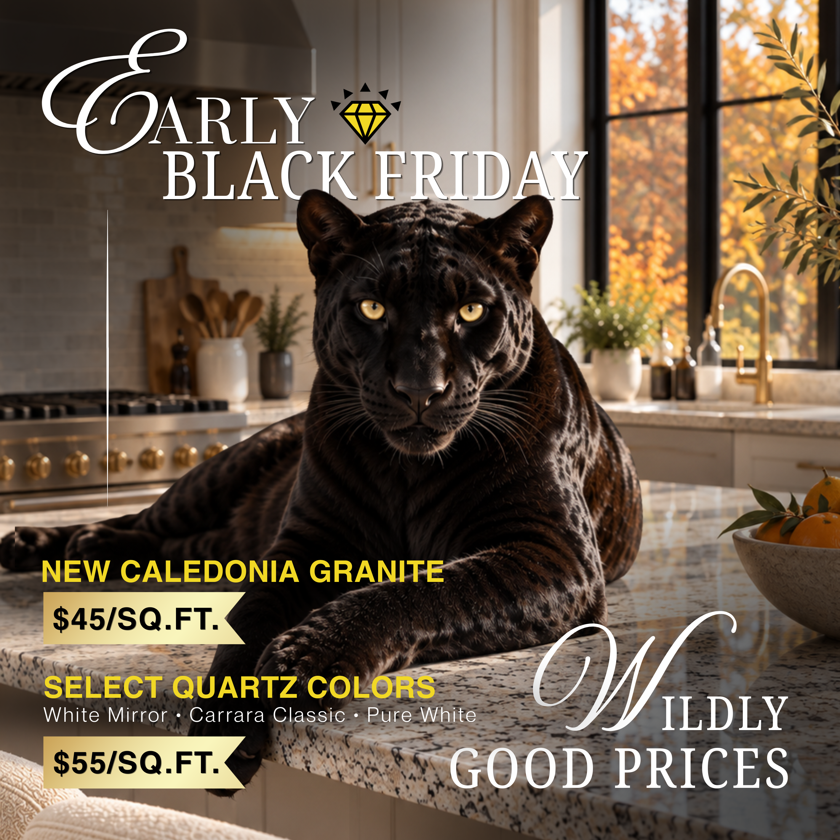 Early Black Friday special โ New Caledonia granite countertops $45 per sq. ft. installed, plus White Mirror, Carrara Classic, and Pure White quartz at $55 per sq. ft.